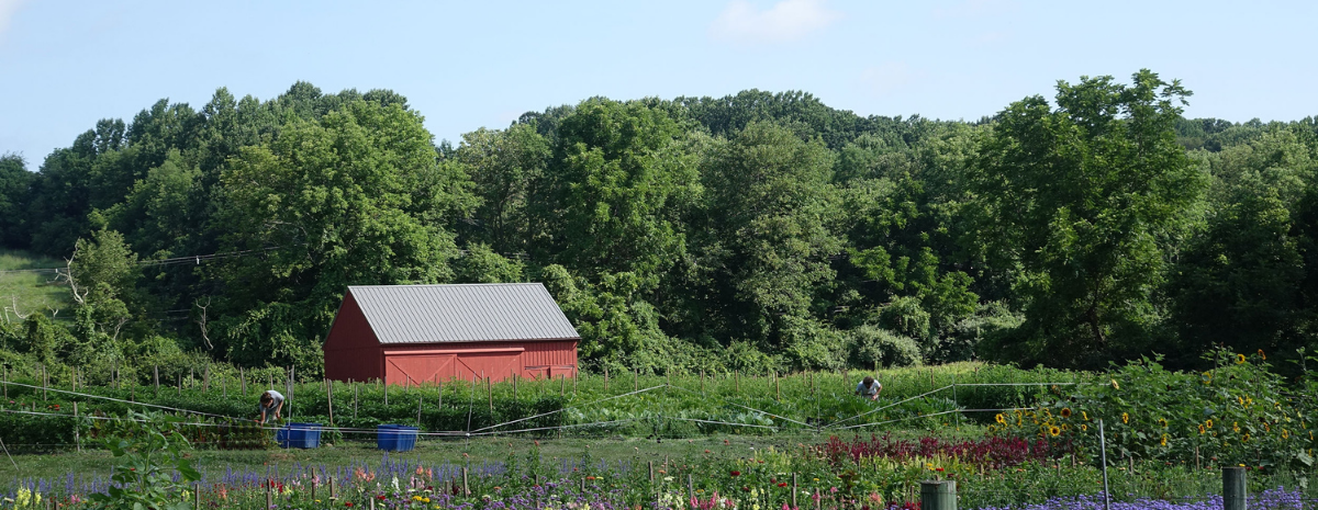 WCT | FIELD TRIP INQUIRY